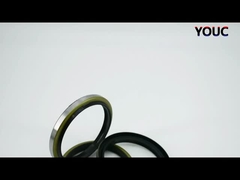 Đen DKBI DKB Dust Oil Seal Hydraulic Cylinder Dust Seal NBR PU Wiper Seal