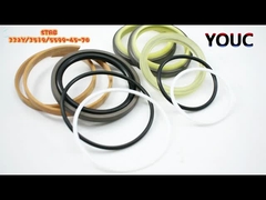 HS-3DX-STAB-332Y-3519-5599-45-70 Mô hình Seal Kit Bộ phận sửa chữa máy đào