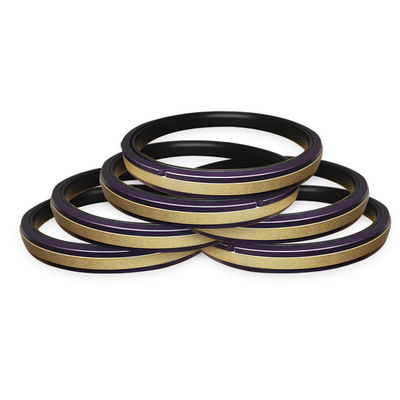 50 - 300Mpa SPGW compact seal SPGW Hydraulic Spgw piston seal cho cơ khí xây dựng